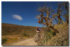 Cape Epic | Patrick Schleinkofer